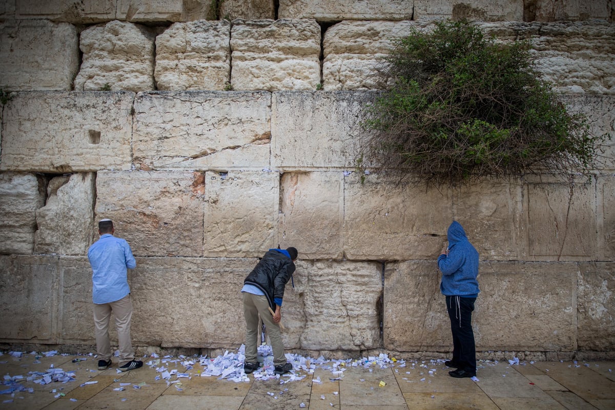 כשר לפסח: כך ניקו את אבני הכותל המערבי