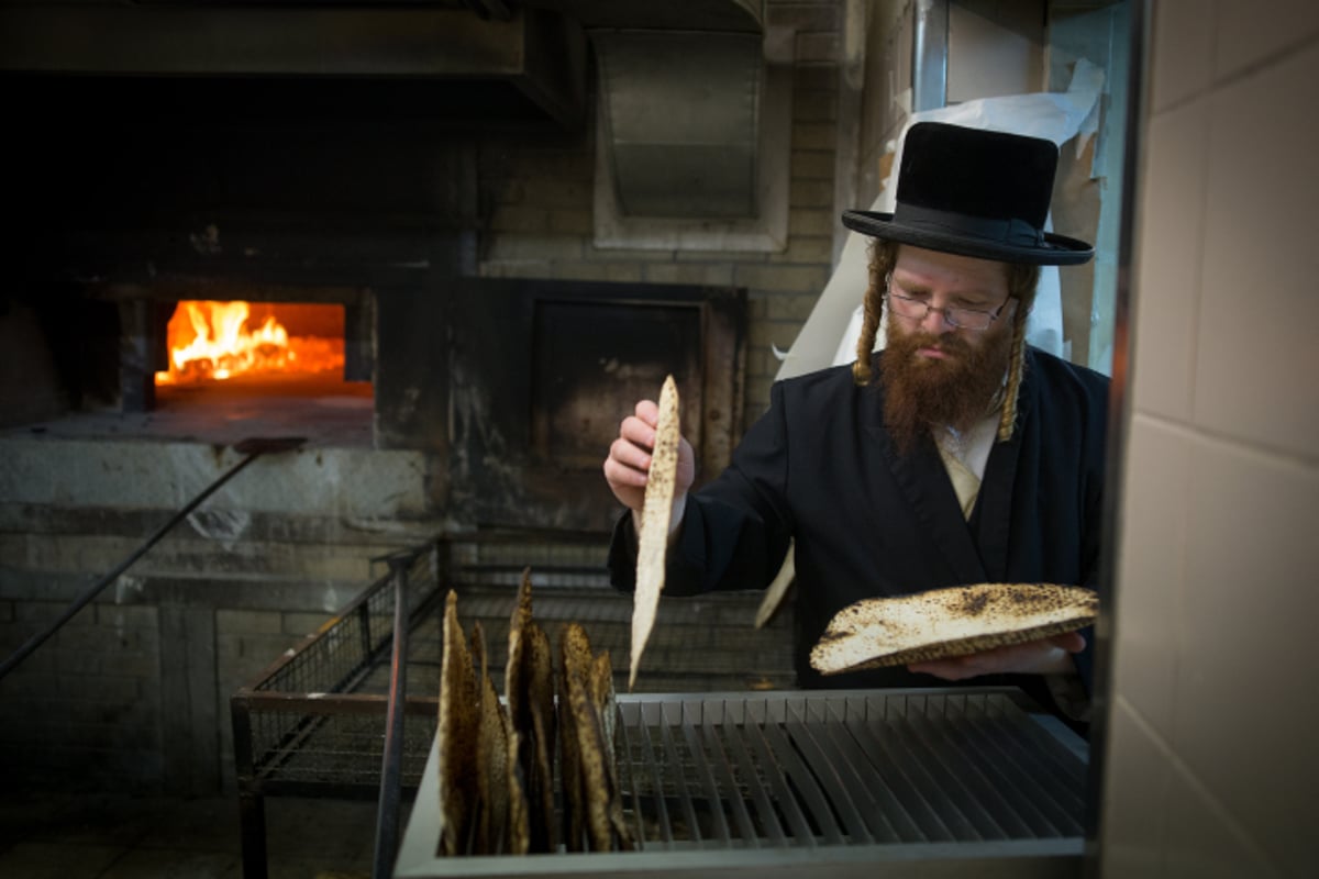 תיעוד מבפנים: כך מכינים בבעלזא מצות