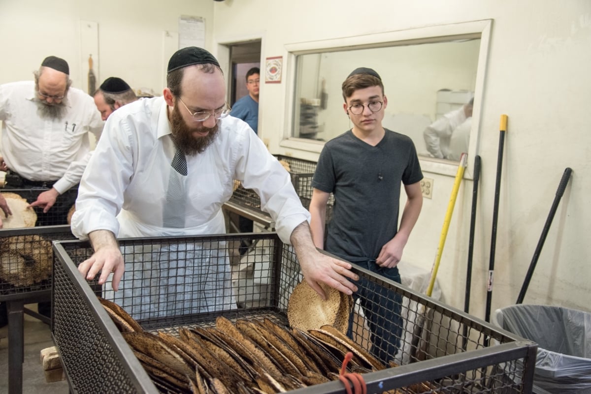 גלריה: ראש ישיבת ליקווד באפיית מצות