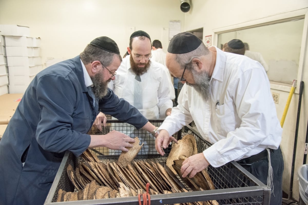 גלריה: ראש ישיבת ליקווד באפיית מצות