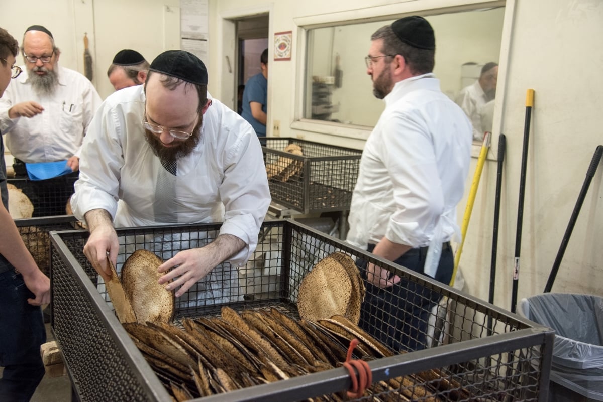 גלריה: ראש ישיבת ליקווד באפיית מצות