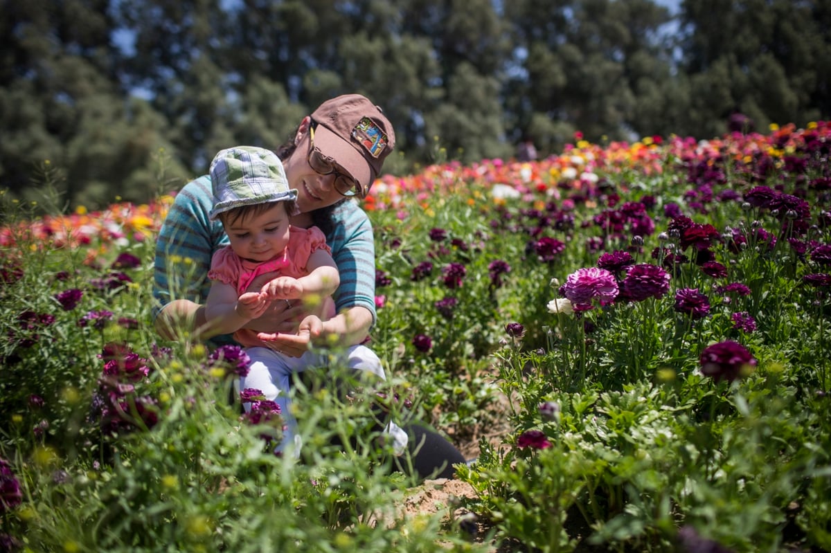 מרהיב: הפריחה בקיבוץ ניר יצחק • גלריה אביבית