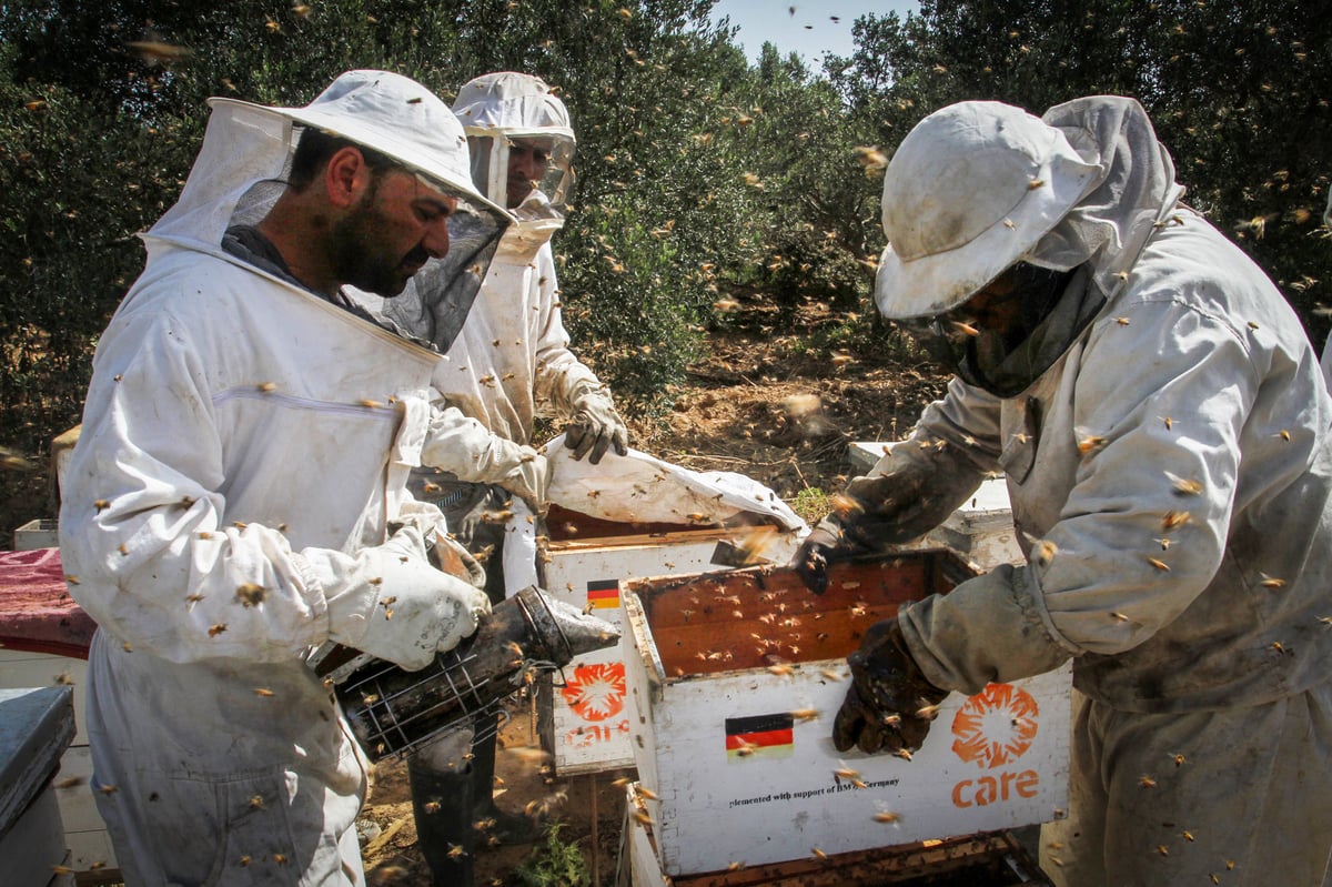 הכוורנים הפלסטינים של עזה • גלריה שכולה דבש