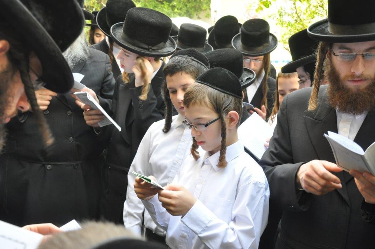 צפו: ברכת האילנות בנדבורנה