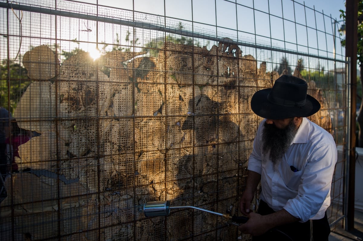 צפו בתיעוד: האם זו המצה הגדולה בעולם?