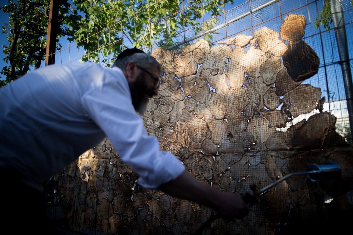 צפו בתיעוד: האם זו המצה הגדולה בעולם?