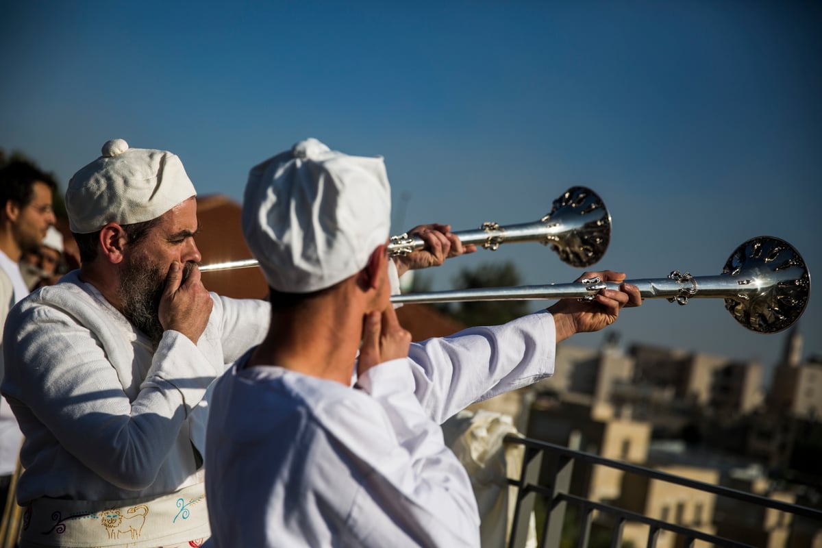 המחשה ותרגול של קרבן פסח • תיעוד