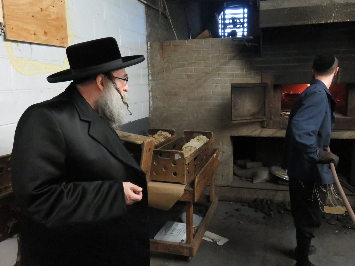 גלרית ענק: אדמו"רי ורבני ארה"ב באפיית מצות