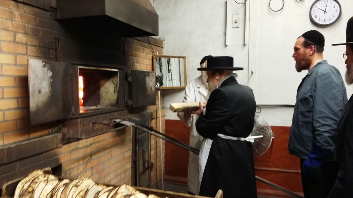 גלרית ענק: אדמו"רי ורבני ארה"ב באפיית מצות