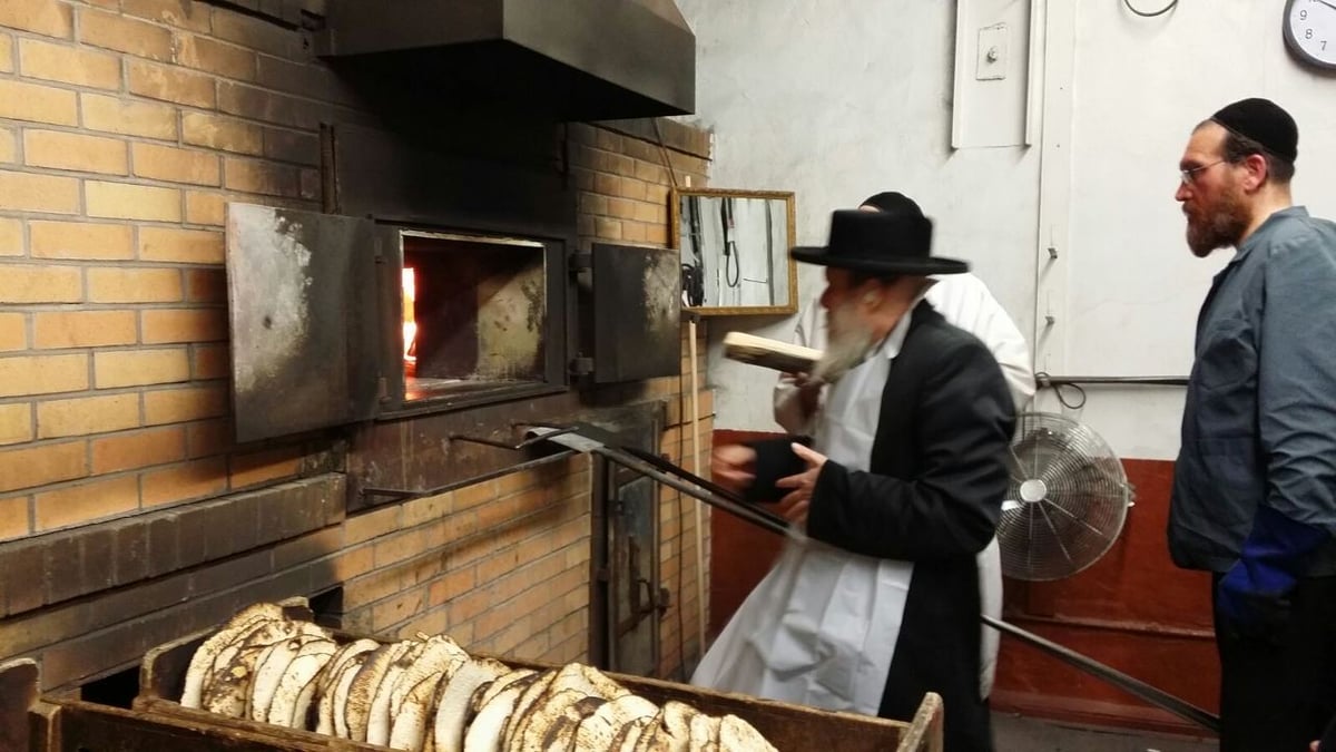 גלרית ענק: אדמו"רי ורבני ארה"ב באפיית מצות