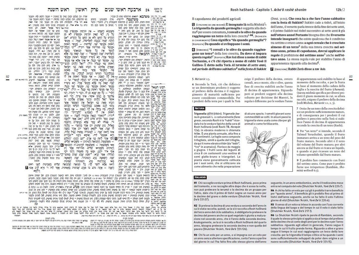 נשיא איטליה קיבל מסכת ראש השנה מתורגמת • צפו