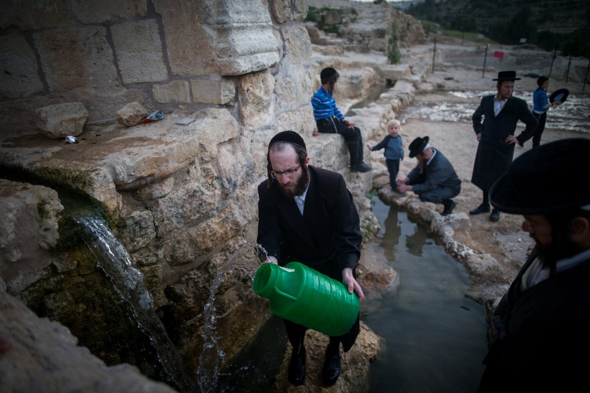 בריקוד ולצד הטובלים: שאיבת 'מים שלנו' בהרי ירושלים