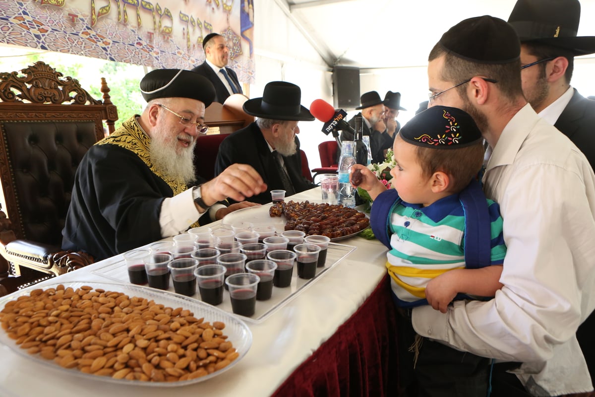 'הקבלת פני רבו' לרבה של ירושלים הראשל"צ הגר"ש עמאר