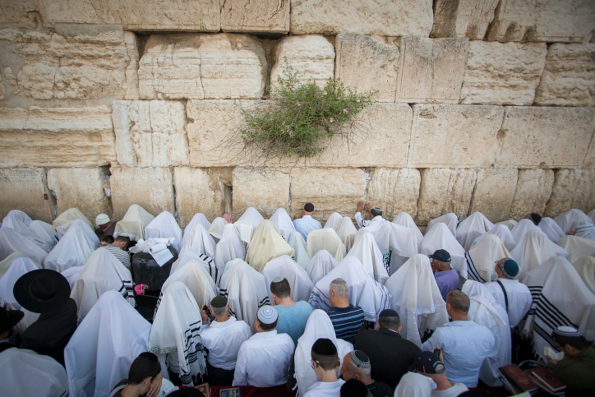 תיעוד ענק: אלפים ב'ברכת הכהנים' בכותל המערבי