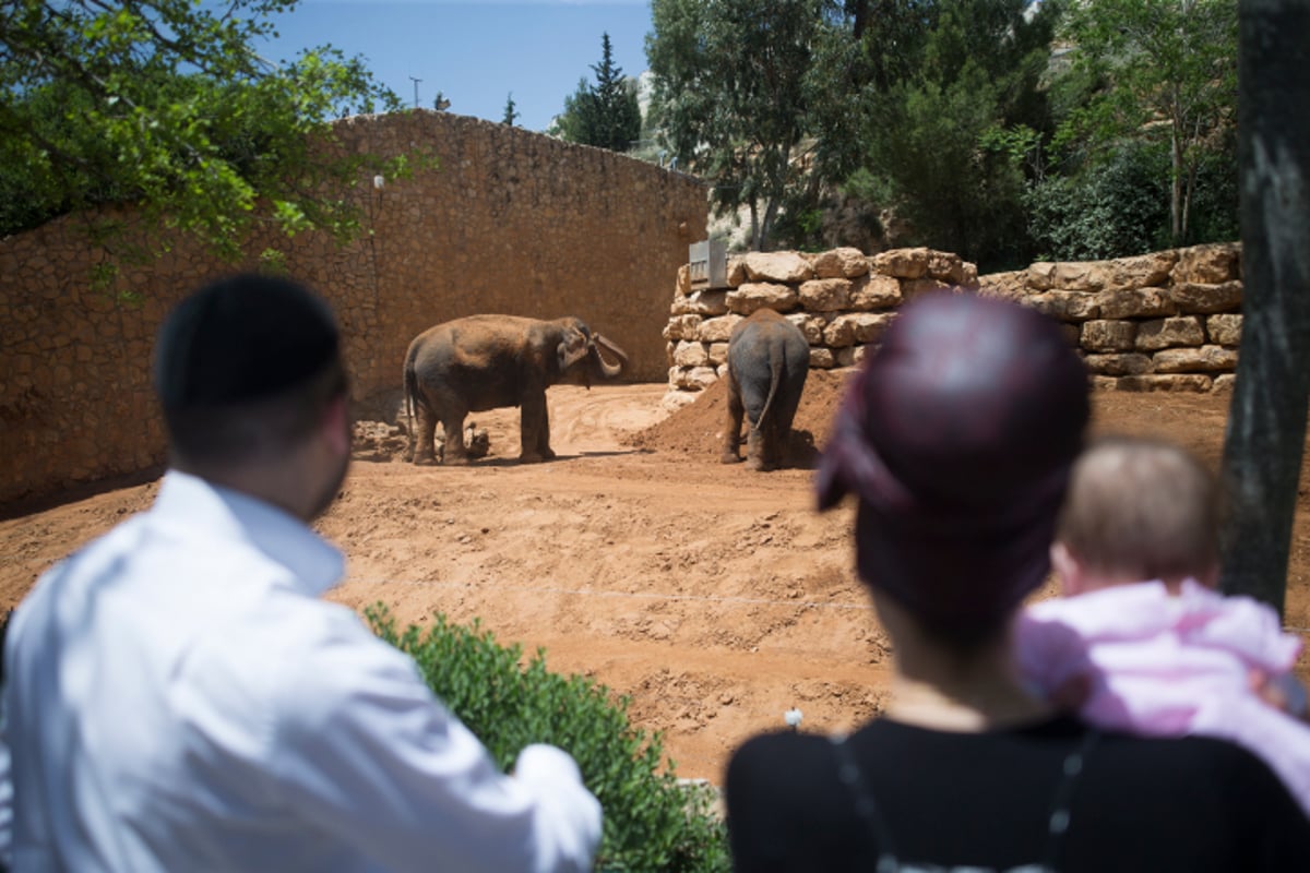 עם ישראל יוצא לטייל • תיעוד ענק