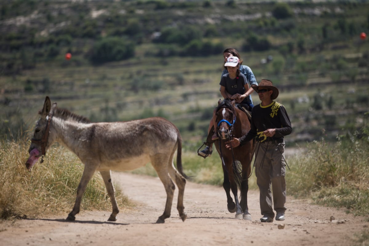 עם ישראל יוצא לטייל • תיעוד ענק