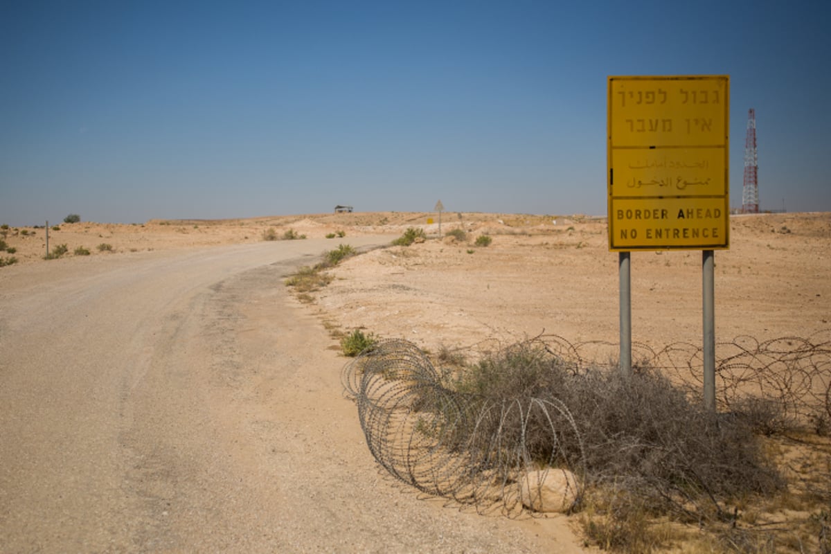 האביב בא: גלריה צחיחה מהנגב המערבי