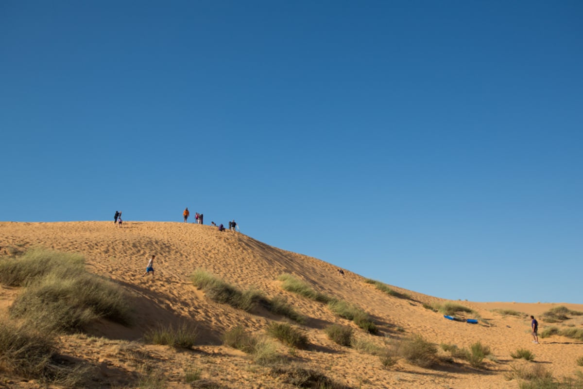 האביב בא: גלריה צחיחה מהנגב המערבי