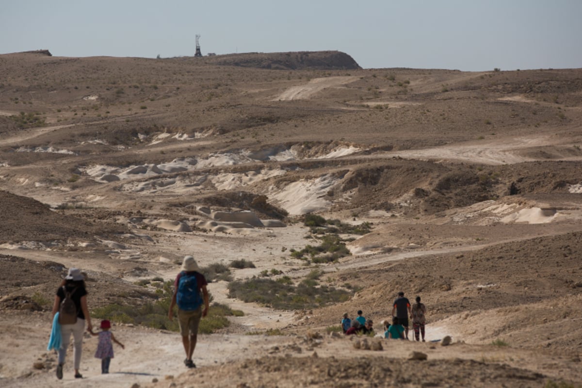 האביב בא: גלריה צחיחה מהנגב המערבי