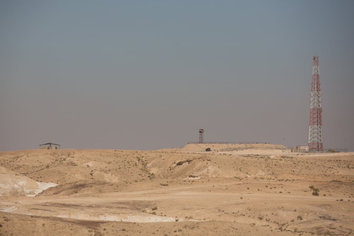 האביב בא: גלריה צחיחה מהנגב המערבי