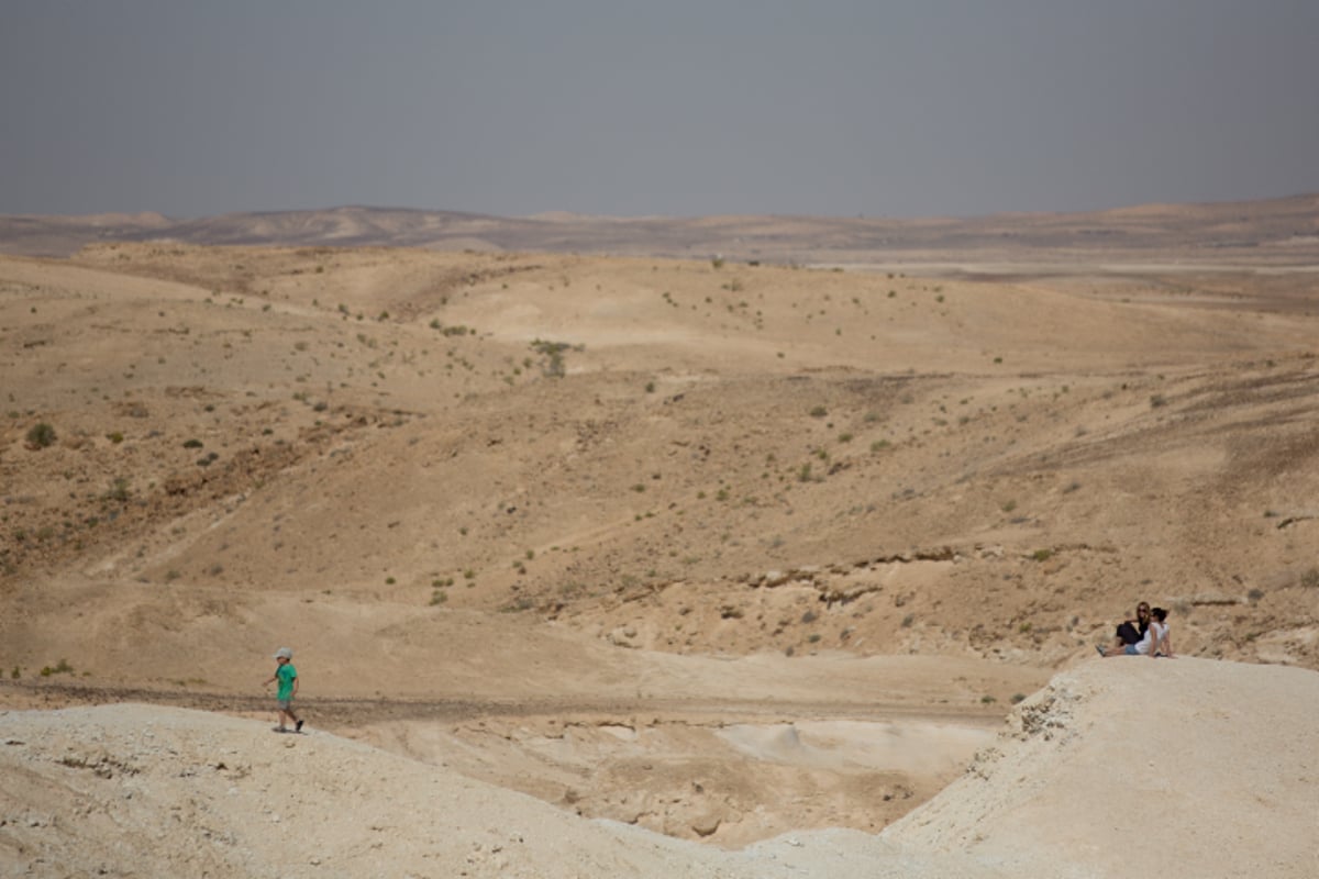 האביב בא: גלריה צחיחה מהנגב המערבי