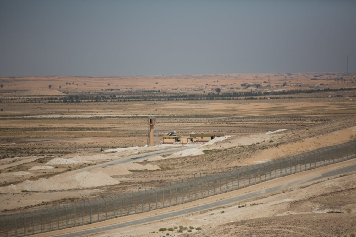 האביב בא: גלריה צחיחה מהנגב המערבי