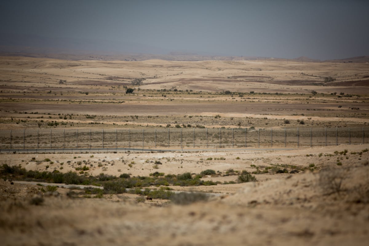 האביב בא: גלריה צחיחה מהנגב המערבי