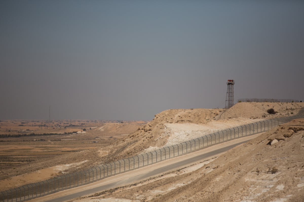 האביב בא: גלריה צחיחה מהנגב המערבי