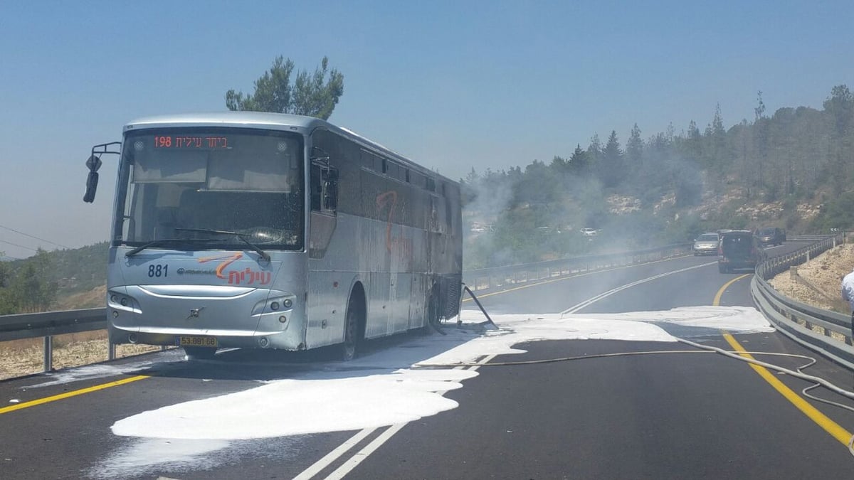 דוברות צוות הצלה