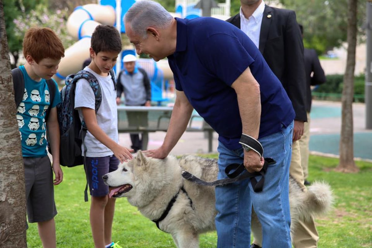 ראש הממשלה יצא לטיול עם הכלבה קאיה