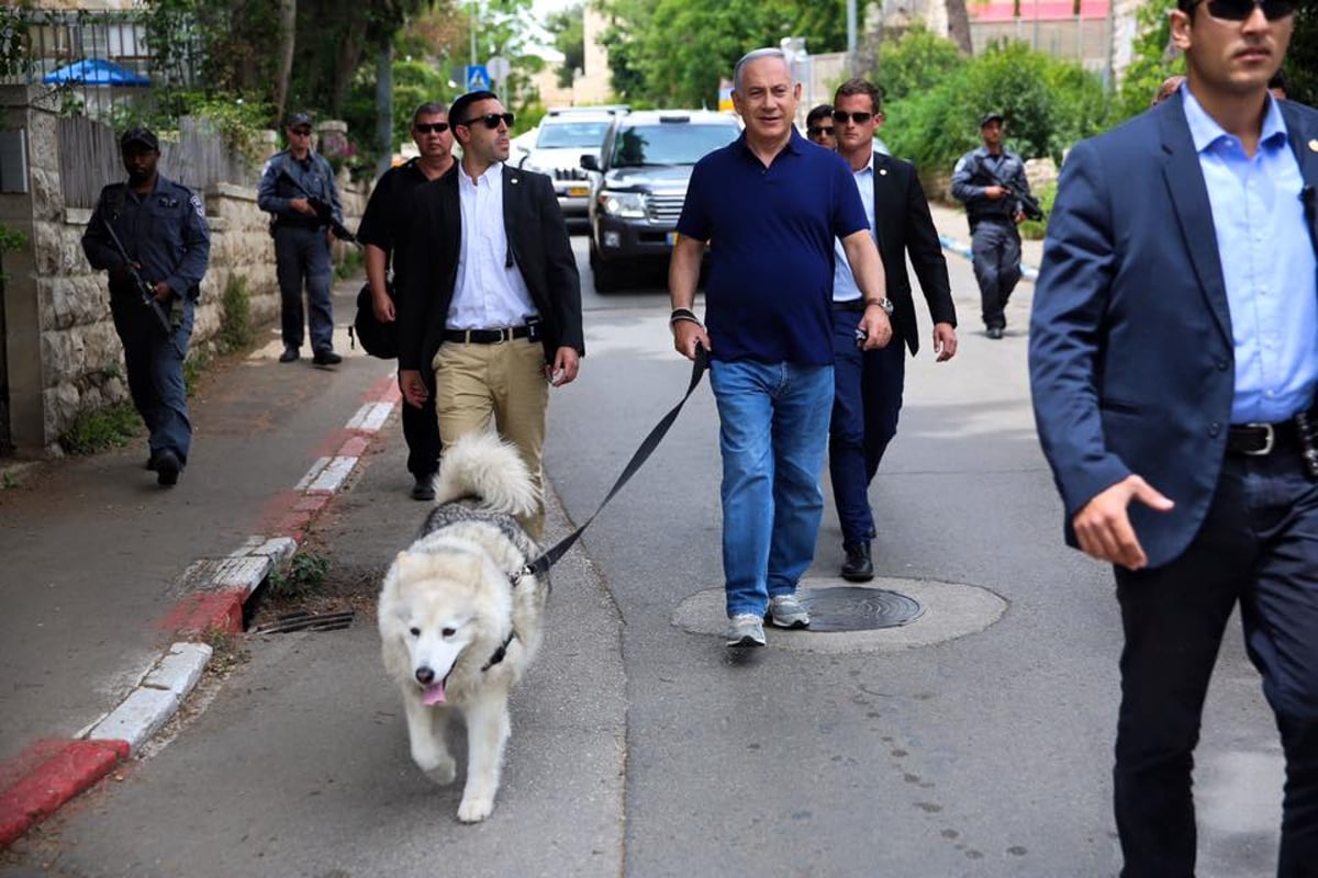 ראש הממשלה יצא לטיול עם הכלבה קאיה