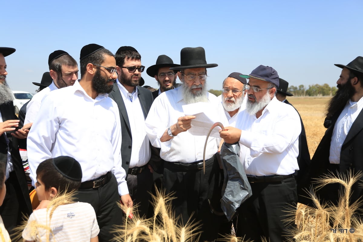 רבנים ועסקנים קיימו יחד את המצווה הנדירה