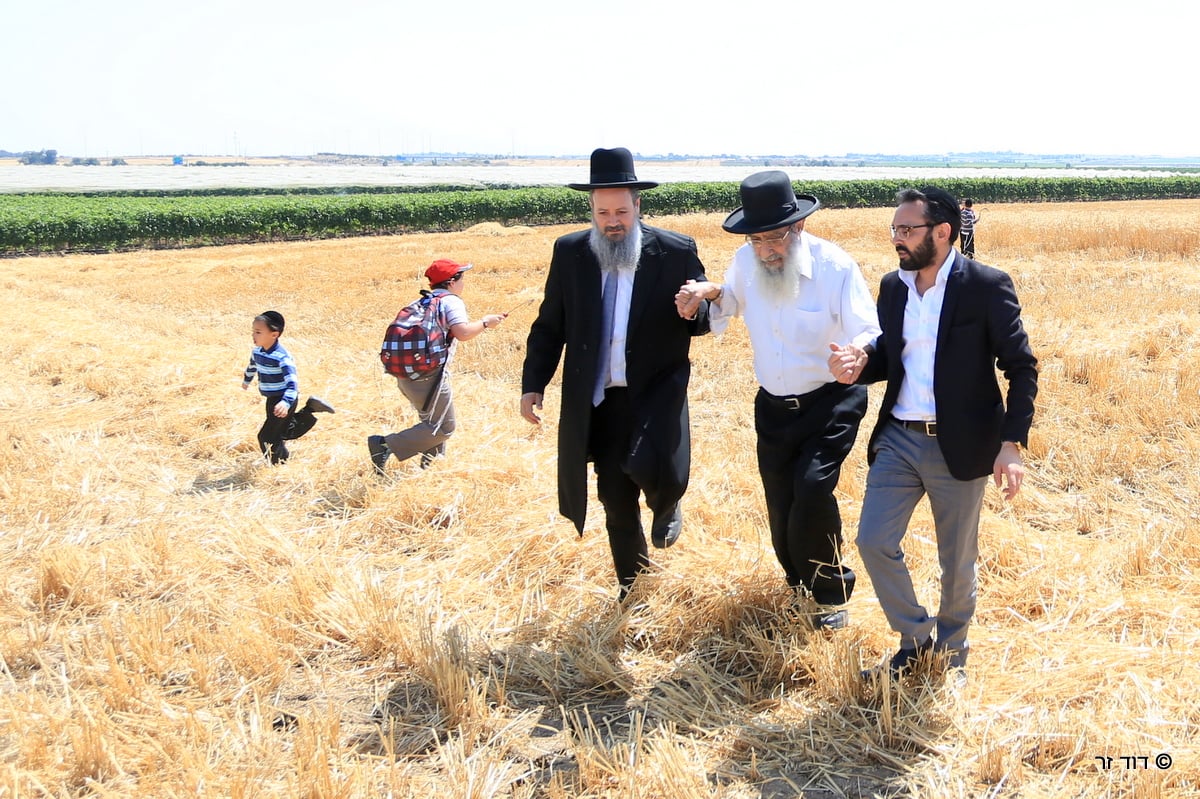 רבנים ועסקנים קיימו יחד את המצווה הנדירה