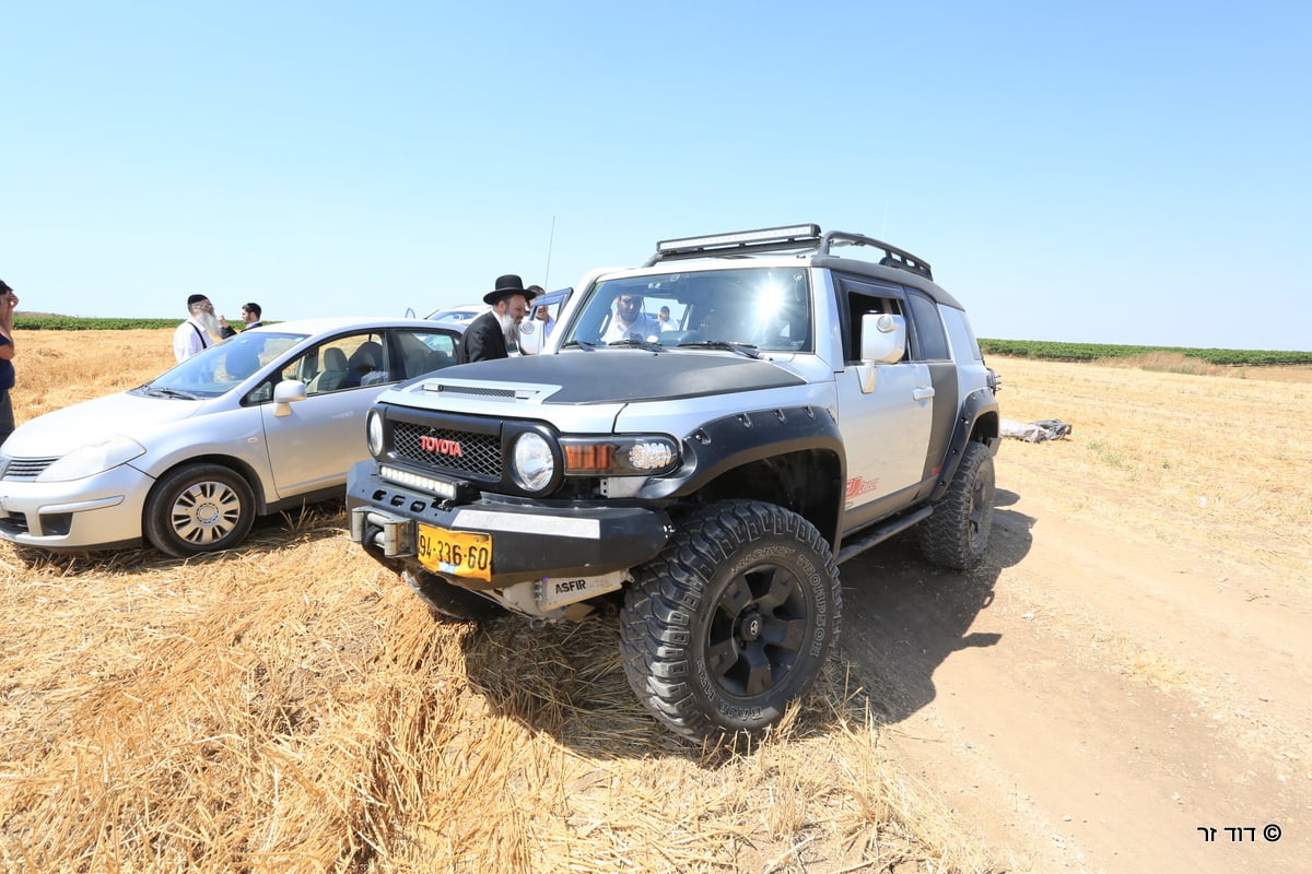 רבנים ועסקנים קיימו יחד את המצווה הנדירה