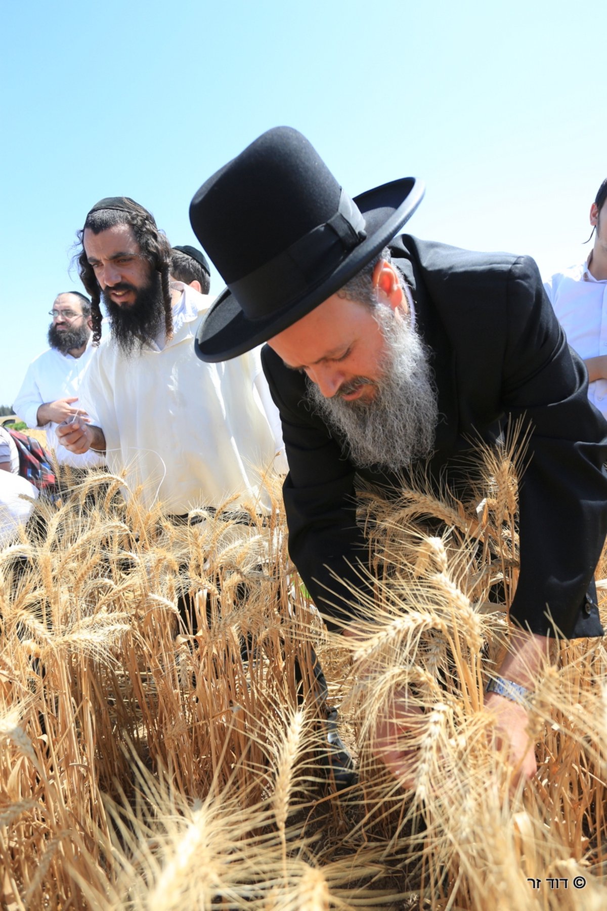 רבנים ועסקנים קיימו יחד את המצווה הנדירה