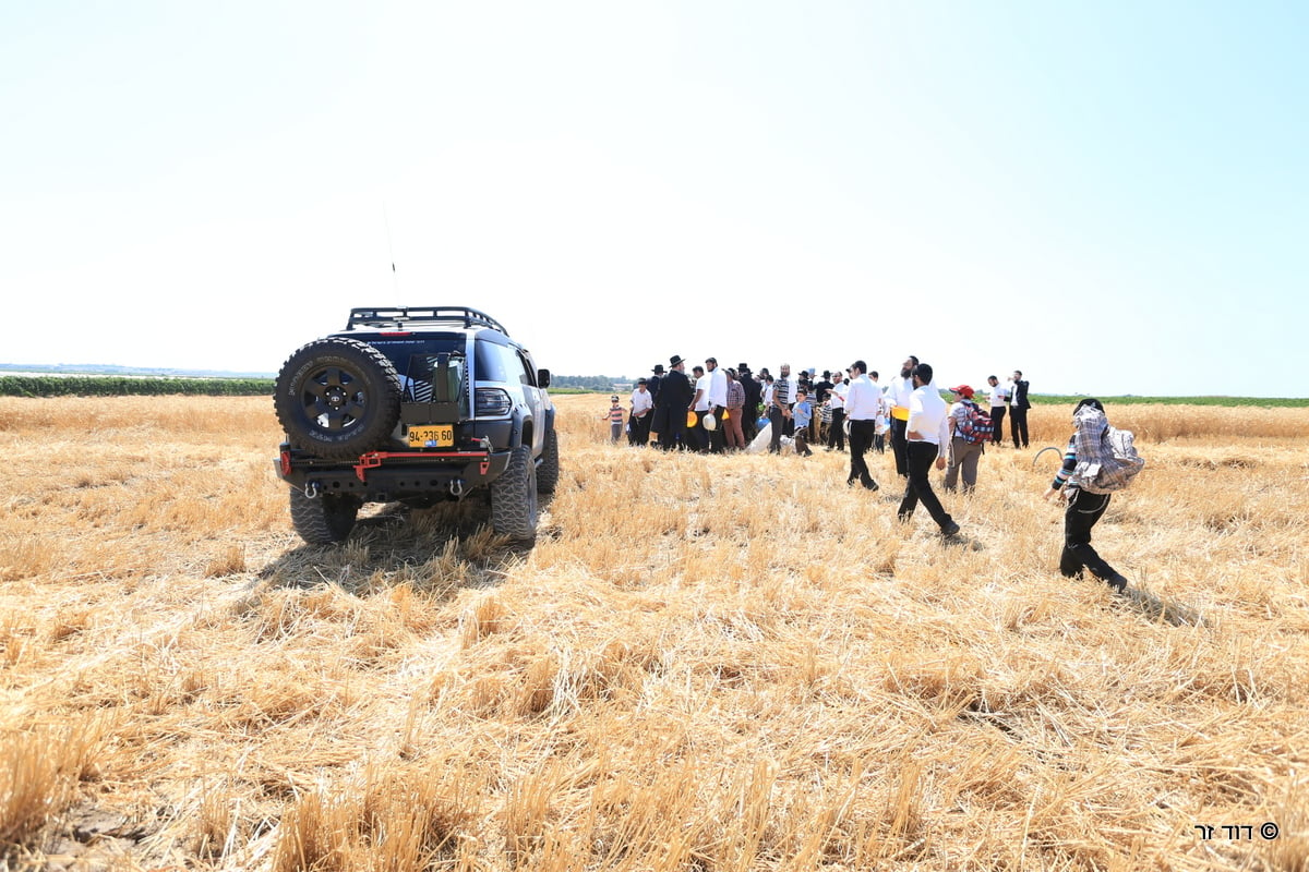 רבנים ועסקנים קיימו יחד את המצווה הנדירה