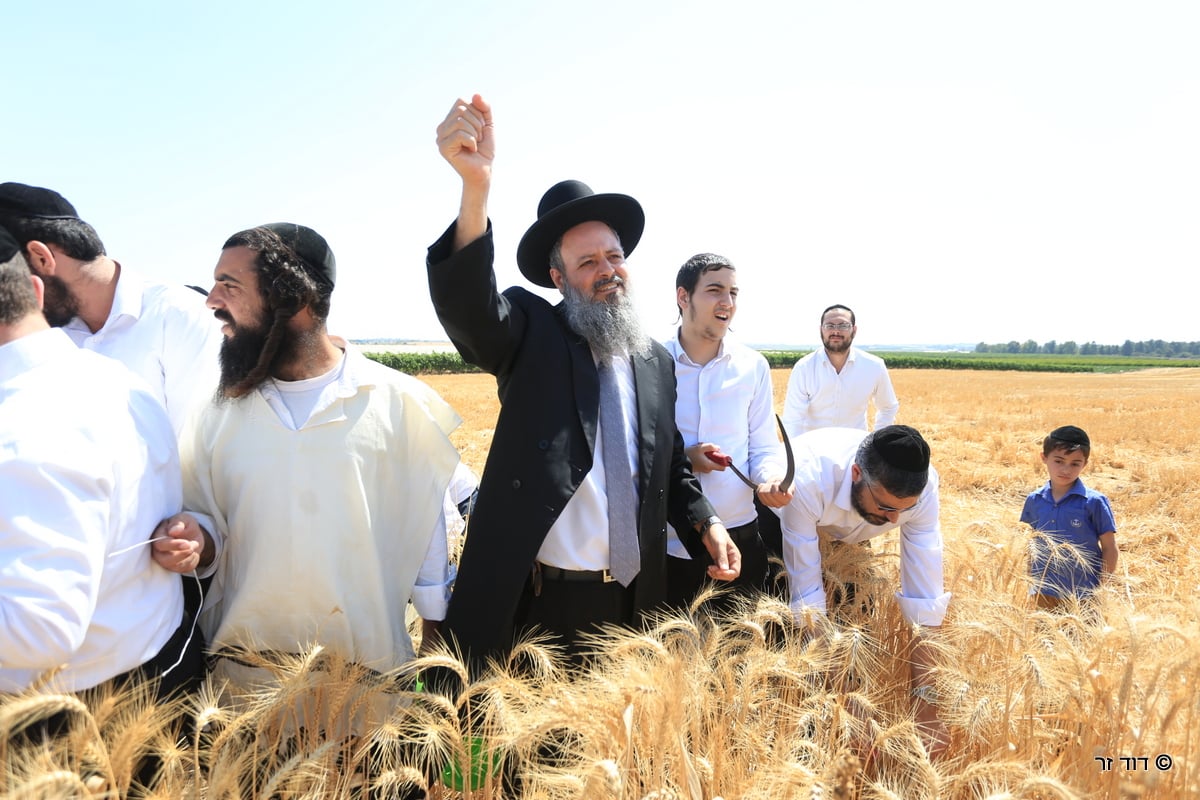 רבנים ועסקנים קיימו יחד את המצווה הנדירה