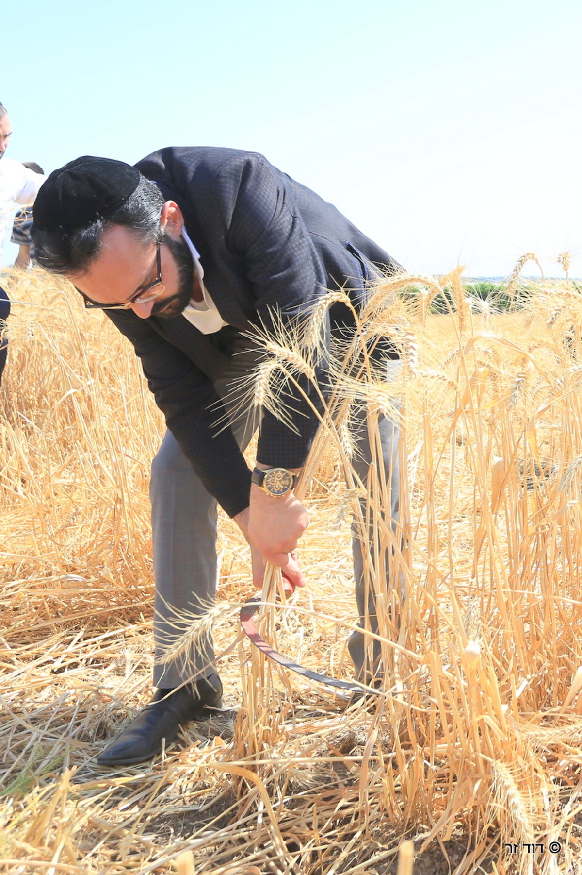 רבנים ועסקנים קיימו יחד את המצווה הנדירה