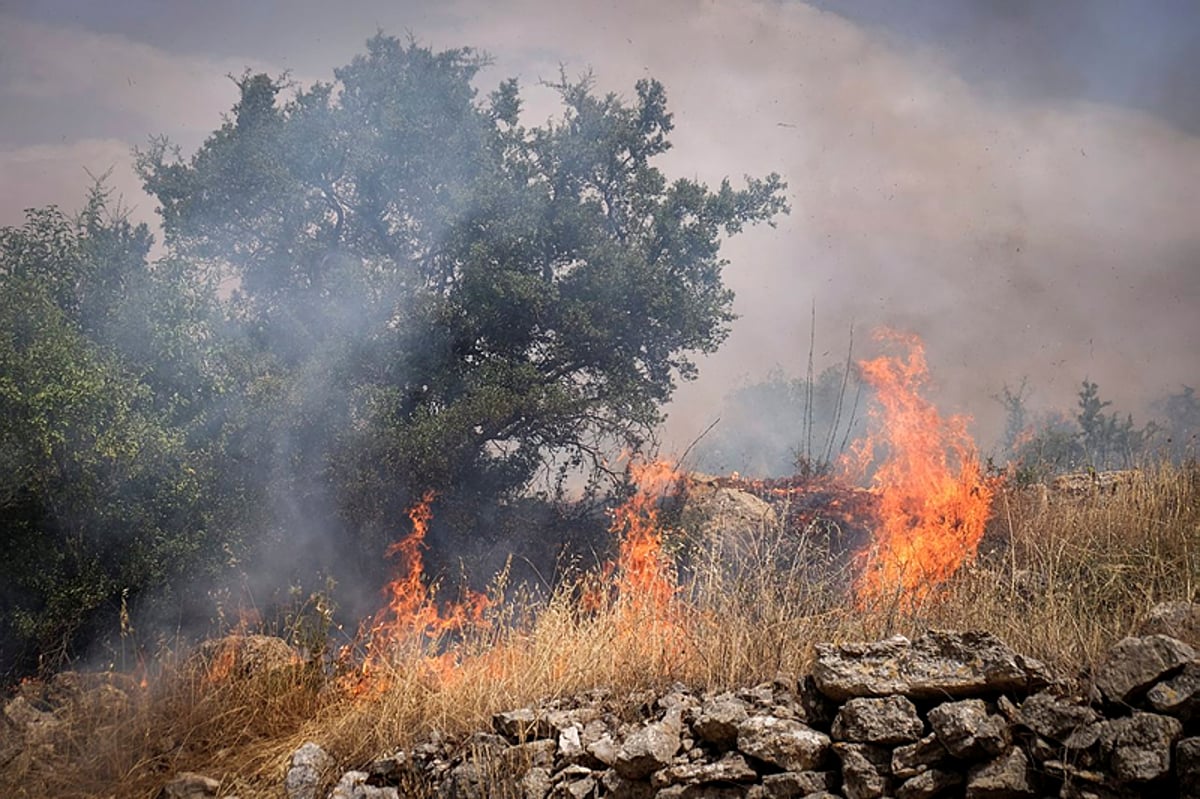 אחרי 5 שעות: הושגה שליטה על שריפת הענק באזור ירושלים