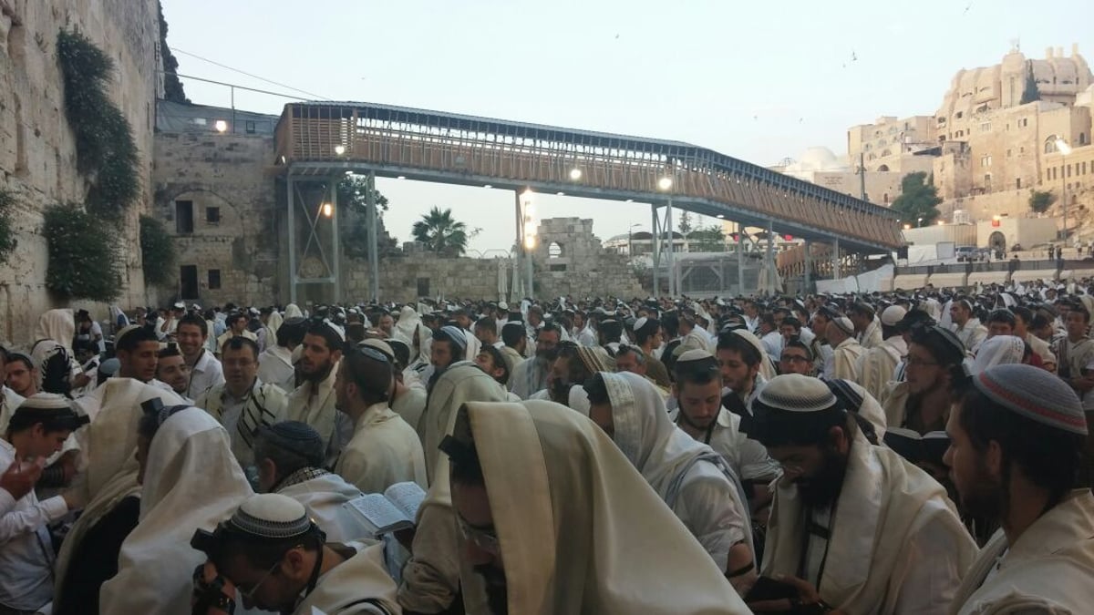 'שחרית' בכותל ביום ירושלים  • צפו בתיעוד