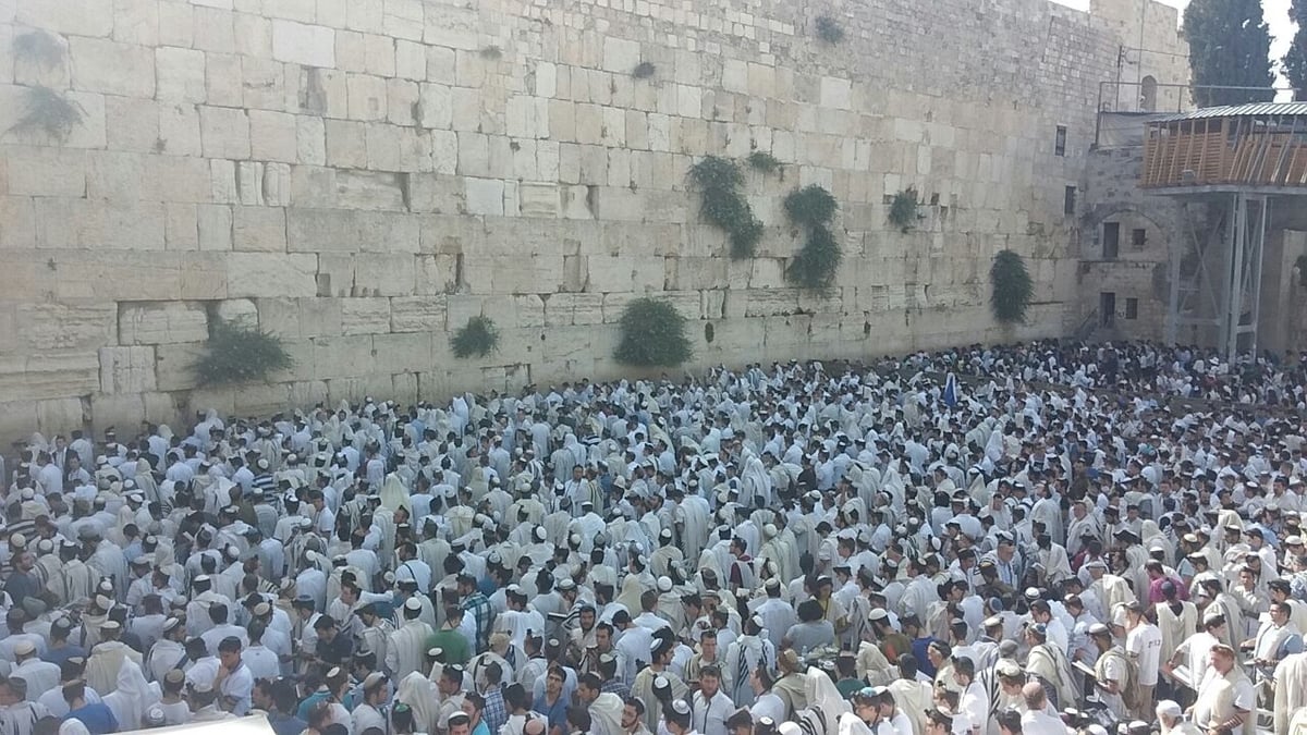 'שחרית' בכותל ביום ירושלים  • צפו בתיעוד