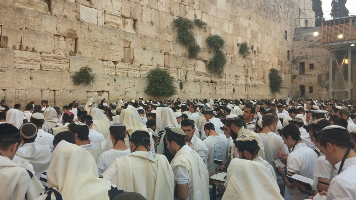 'שחרית' בכותל ביום ירושלים  • צפו בתיעוד