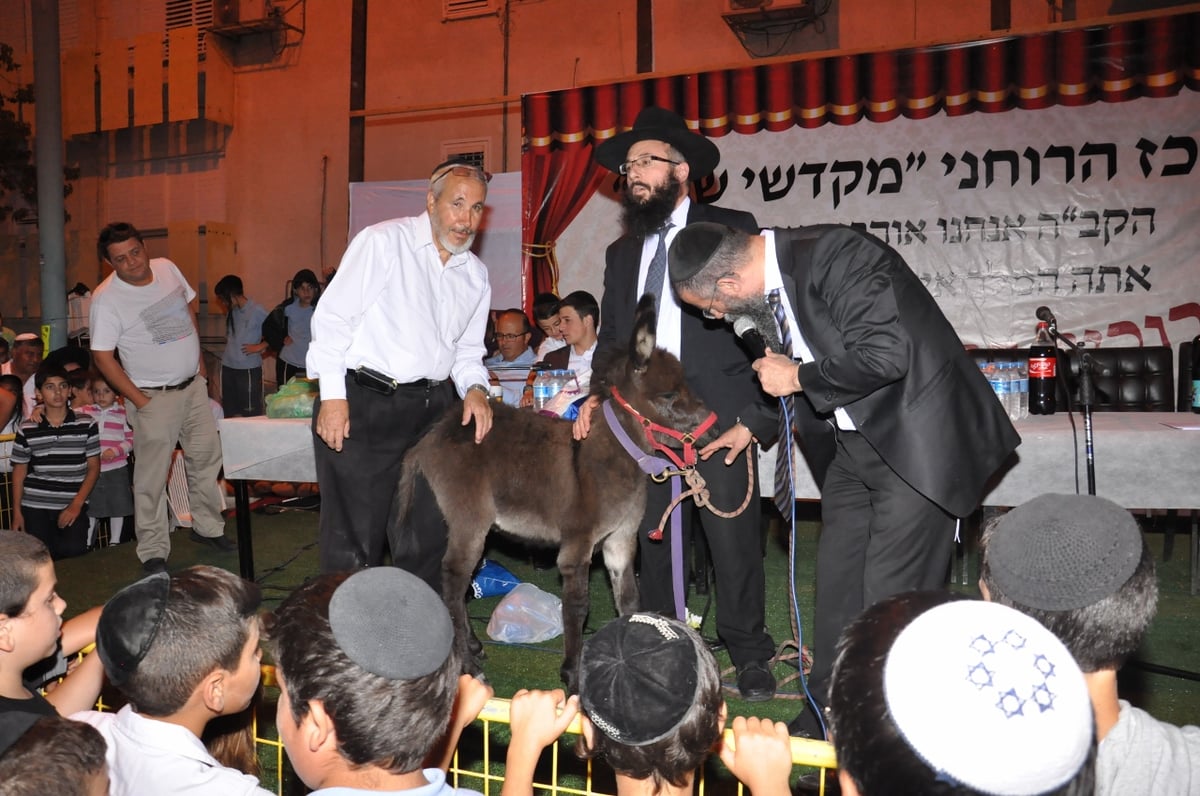 מעמד נדיר בדימונה: "החמור הזה הוא קדוש!"