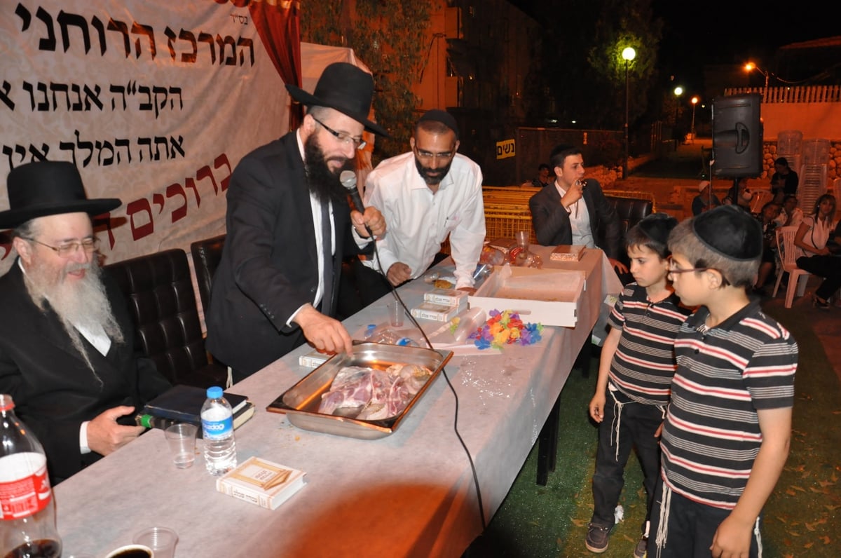 מעמד נדיר בדימונה: "החמור הזה הוא קדוש!"