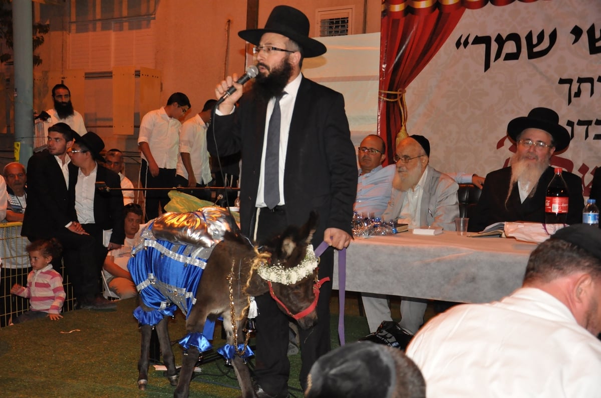 מעמד נדיר בדימונה: "החמור הזה הוא קדוש!"