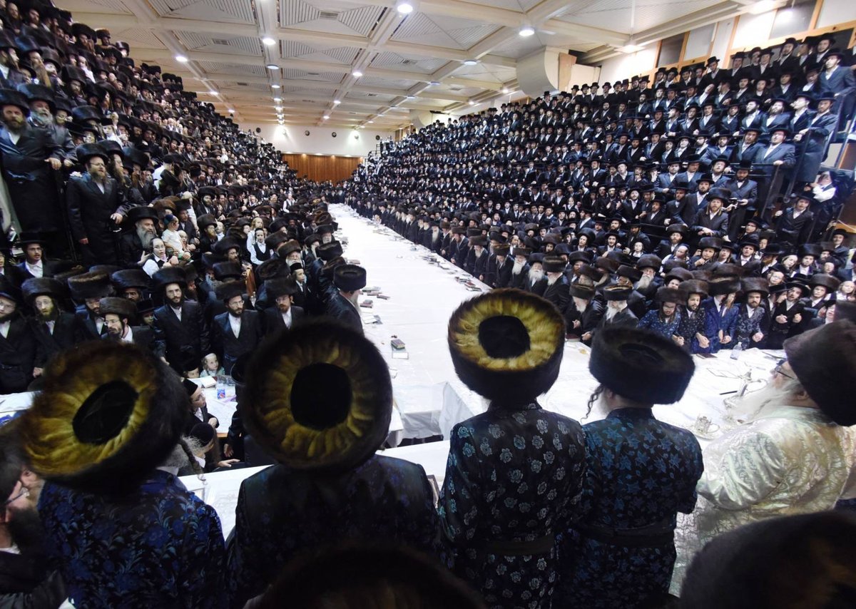 כך חסידי צאנז קיבלו את התורה • מראות מחג השבועות