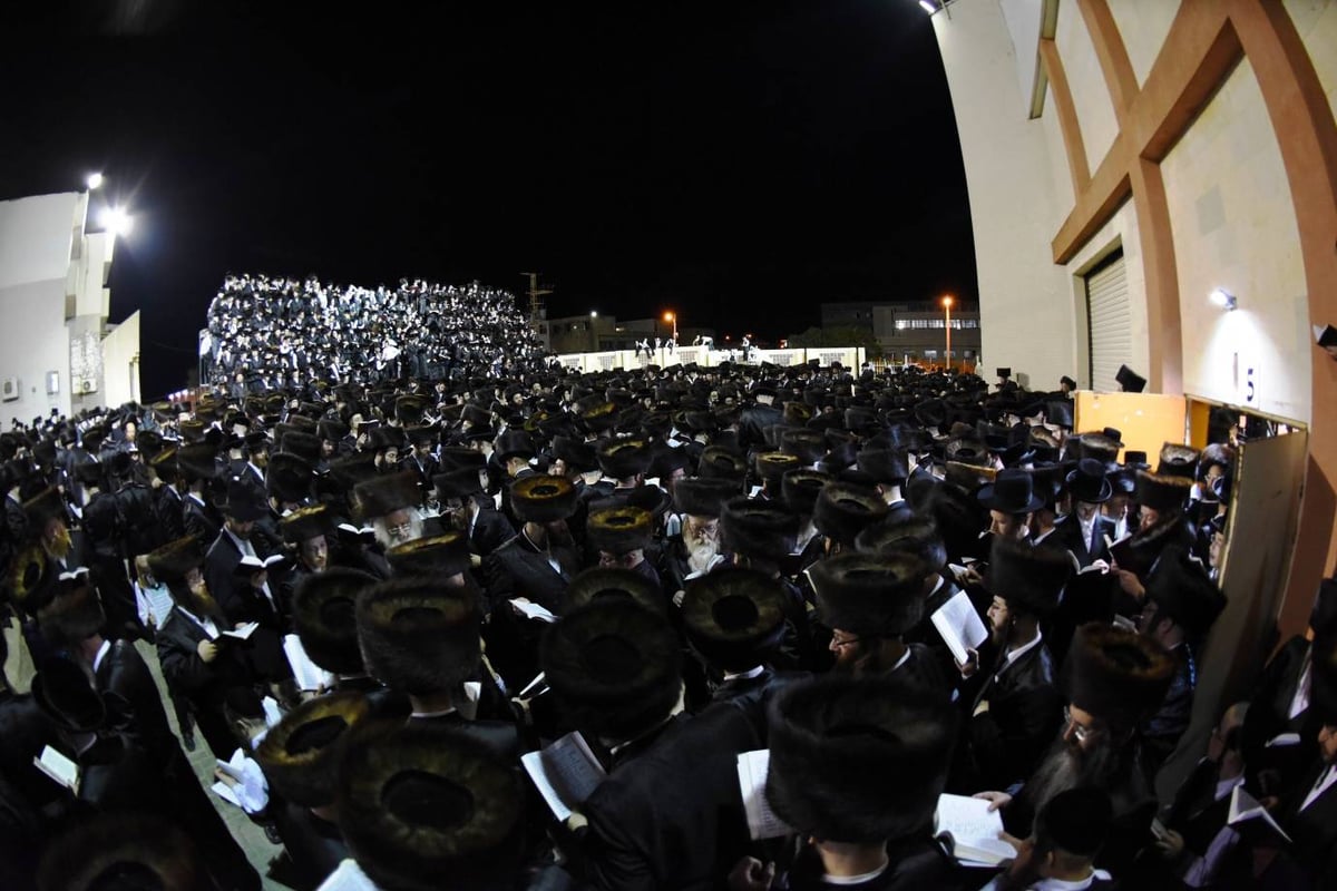 כך חסידי צאנז קיבלו את התורה • מראות מחג השבועות