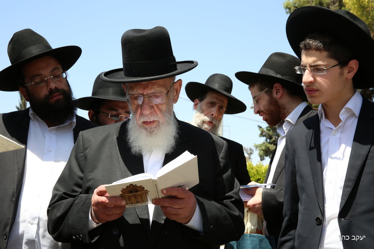 נשיא המועצת עלה לקבר רעייתו: "התורה היא הנחמה שלי"