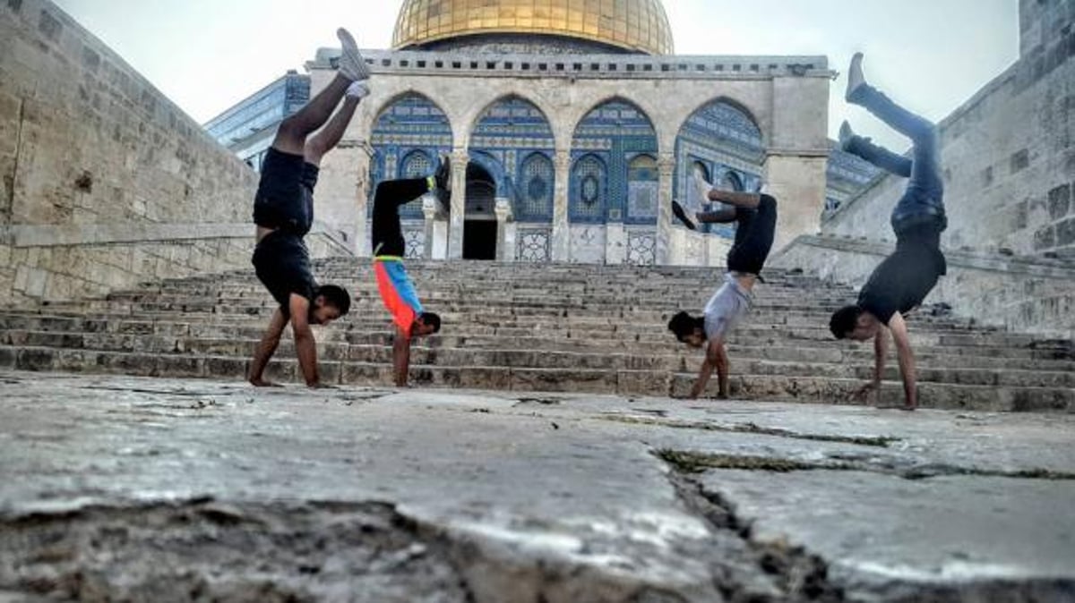 "שועלים רקדו בו": טרנד הריקוד המוסלמי בהר הבית. צפו