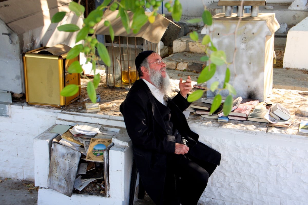 ר' קלמן גולדשמידט מבקש: עלו לקבר ההורודנקער